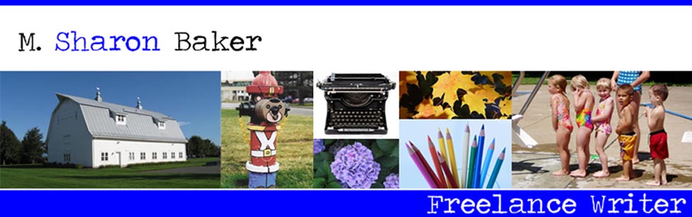 msbbanner